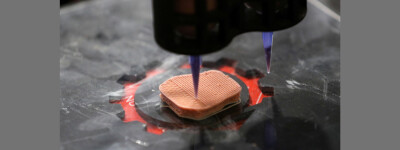 Испанская компания использует 3D-печать для печати вегетарианских стейков