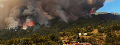 Более 4000 человек эвакуированы из-за лесного пожара в Ла-Пальме на Канарских островах
