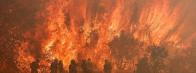 Лесной пожар в Саморе оказался сильнейшим в истории Испании