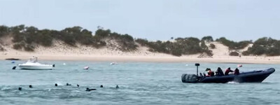 Контрабандисты выбросили мигрантов за борт у испанского пляжа: четверо утонули