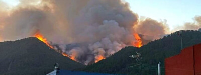 Пожарные на Тенерифе борются с сильнейшим лесным пожаром за 40 лет, пострадали более 7600 человек
