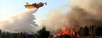 Более 60 лесных пожаров опустошают Астурию