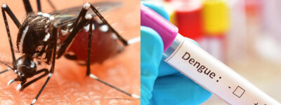 Немецкие туристы заразились лихорадкой денге на Ибице