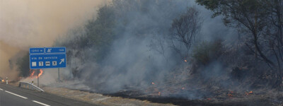 Полиция арестовала женщину, которая устроила пять лесных пожаров в Галисии