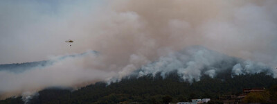 Тенерифе потерял треть своей лесной площади из-за пожара