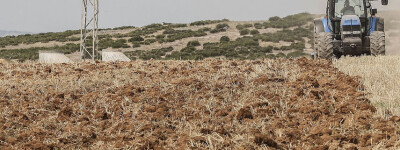 Испания хочет адаптировать условия труда к жаре после смерти фермера