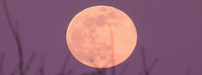 Станьте свидетелем впечатляющей Розовой Луны в апреле этого года в Испании