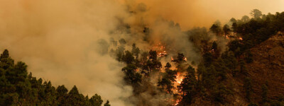 Лесной пожар на Тенерифе вызвал эвакуацию и перекрытие дорог