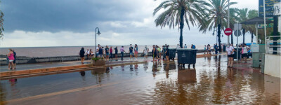 Валенсия 7 октября закрывает все общественные парки из-за прогноза проливных дождей