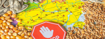 Испания считает запрет на экспорт зерна из Украины со стороны некоторых стран ЕС незаконным