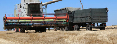 Украина планирует экспортировать зерно по железной дороге