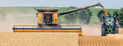 Урожай озимых зерновых в Испании на 65% ниже, чем в 2022 году