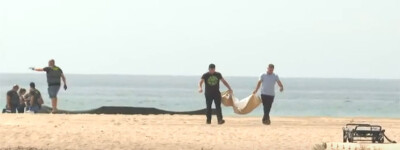 На испанском пляже нашли обезглавленное тело ребенка
