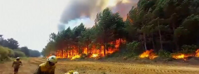 Испания стала страной ЕС с наибольшим количеством сожженных гектаров леса в этом году