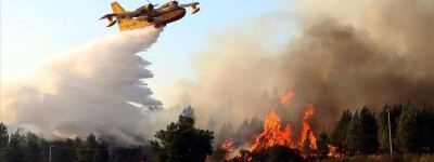 Самая страшная волна лесных пожаров в истории бушует в Испании