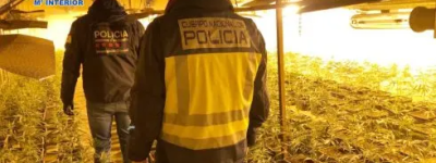 В ходе полицейской операции в Испании арестована банда из 65 китайских контрабандистов