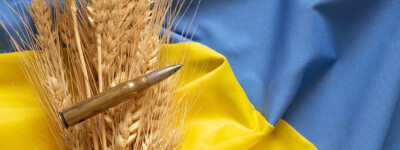 Отсутствие пшеницы приводит к росту цен на хлеб в Испании