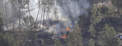 Педро Санчес назвал лесной пожар в Кастельоне и Теруэле серьезным предупреждением об изменении климата