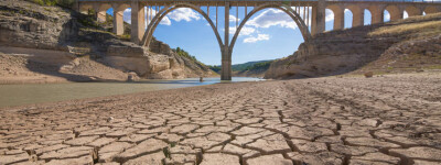 Испанские фермеры бьют тревогу из-за нехватки воды