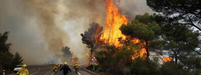 Пожары в Испании до мая причинили вдвое больше разрушений, чем за весь прошлый год