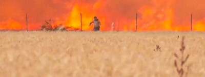 В Испании будут штрафовать фермеров, которые устраивают пожары во время сбора урожая