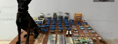 Полиция Марбельи арестовала владельцев клубов каннабиса за незаконную продажу наркотиков