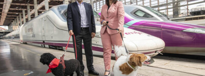 Собаки весом до 40 кг теперь могут путешествовать на поездах AVE между Мадридом и Малагой