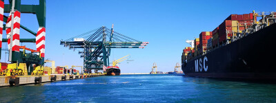 Устойчивость экспорта Валенсии: успешное решение проблем