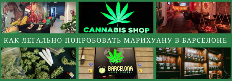 Марихуана не для туристов Марихуана не для туристов download tor portable browser hyrda вход