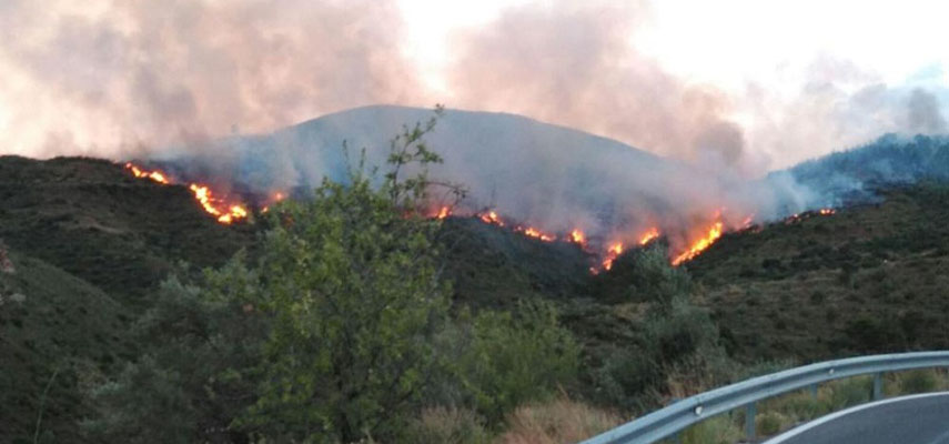 В Валенсии из-за большой пожароопасности закрыли доступ к горным и лесным районам