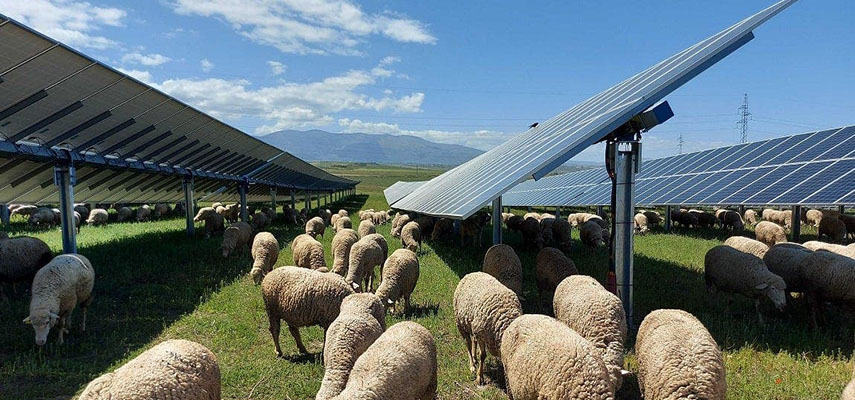 В провинции Аликанте построят солнечную ферму для снабжения энергией более 70 000 домов