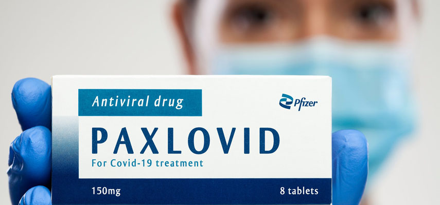 Испания закупила таблетки Paxlovid для борьбы с Covid