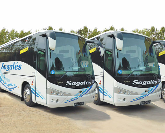 Автобусы компании Sagalis