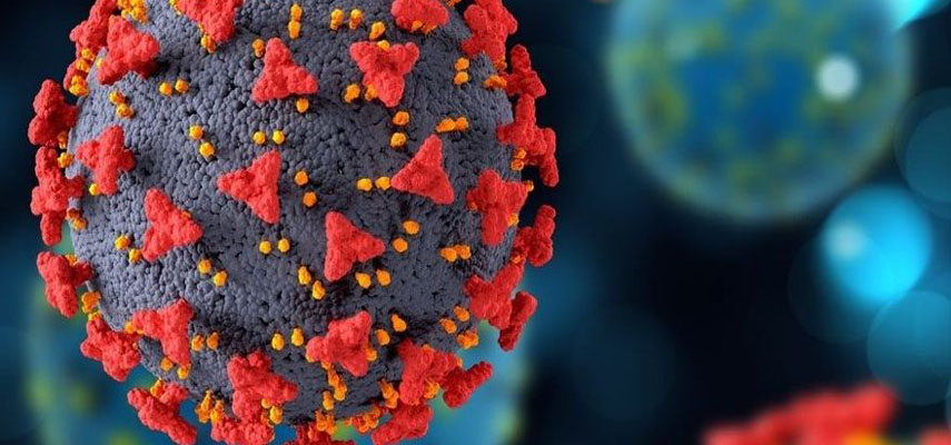 Ученые вскоре создадут универсальную вакцину второго поколения против ковид