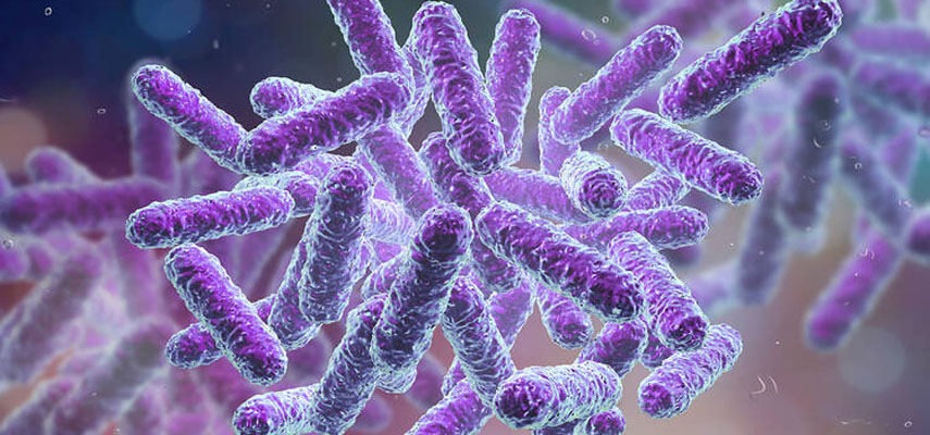 В Испании зарегистрированы случаи заражения бактериями Shigella