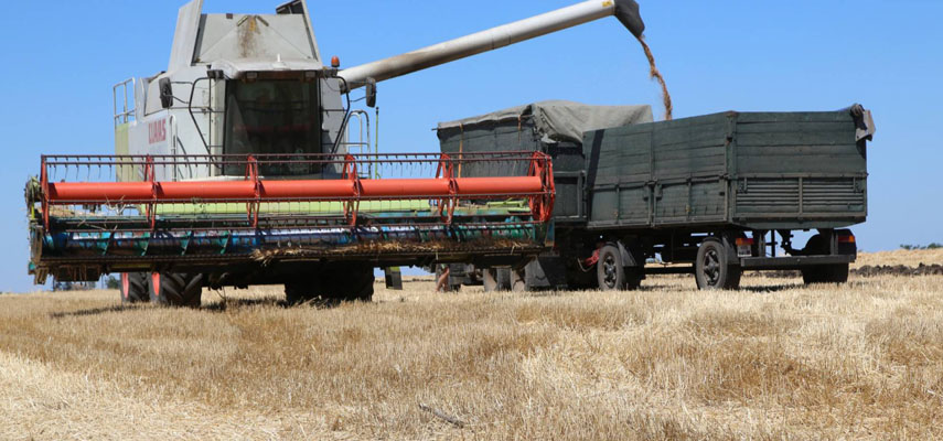 Украина в условиях войны будет экспортировать зерно в Европу по железной дороге