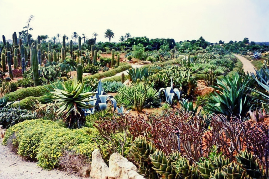 Ботанический сад Сан-Селинес