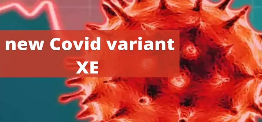 В Испании обнаружен вариант XE Covid, в десять раз более заразный, чем Omicron