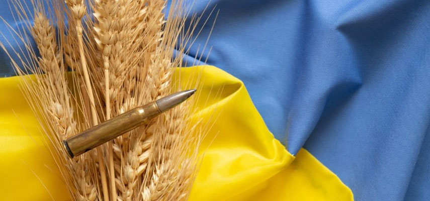Большое количество зерна, предназначенного для Европы, отгружается из Украины