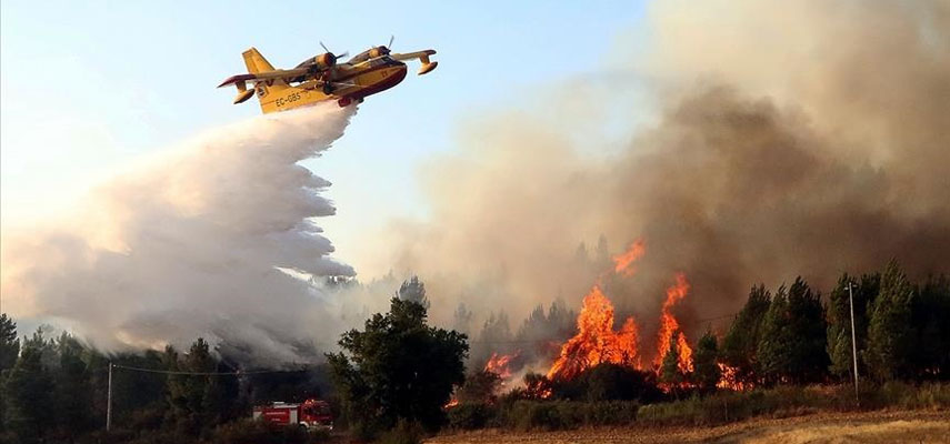 Пожары уже охватили почти 200 000 гектаров земли по всей Испании