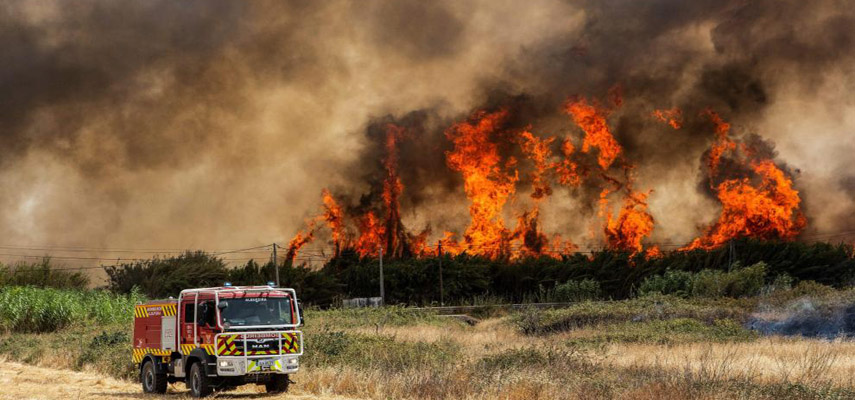 Южная Европа страдает от экстремальной жары и сильных лесных пожаров