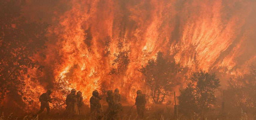 Пожары в провинции Самора за месяц уничтожили более 60 тысяч гектаров леса