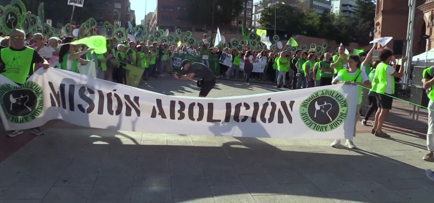 Тысячи демонстрантов в Мадриде протестовали против традиционной корриды