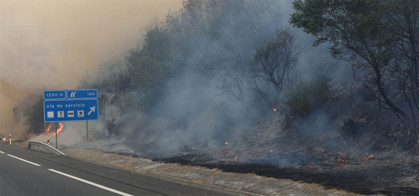 Гражданская гвардия арестовала женщину, ответственную за пять лесных пожаров в Испании