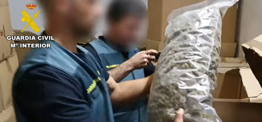 В Испании полиция изъяла 32 тонны каннабиса на 64 миллиона евро