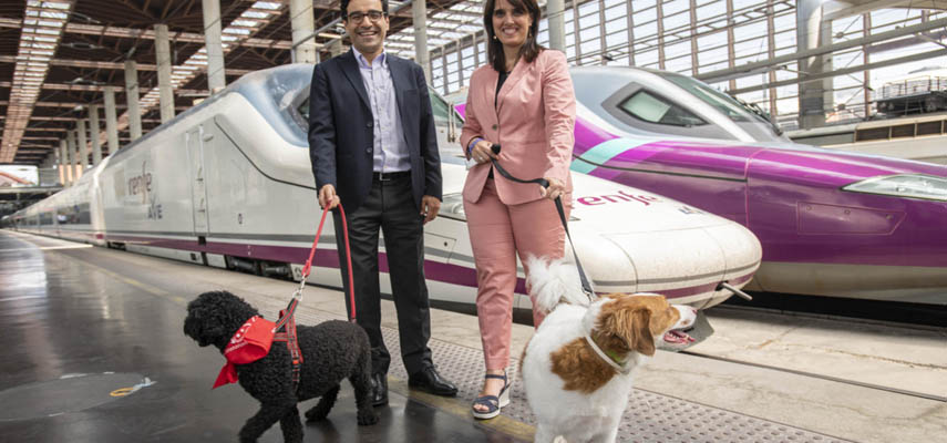 Владельцы крупных собак могут брать своих питомцев с собой в высокоскоростные поезда AVE