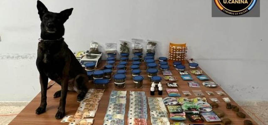В Марбельи арестованы владельцы клубов каннабиса за незаконную продажу марихуаны