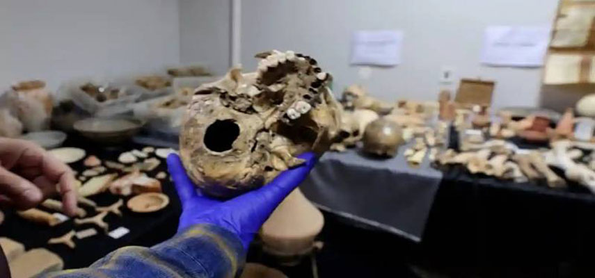 Полиция в Аликанте обнаружила сотни артефактов и фрагментов костей, которым 5000 лет