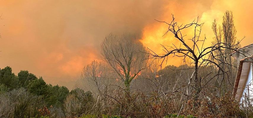 В результате пожара в Вильянуэва-де-Вивер уже сгорело 4300 гектаров земли
