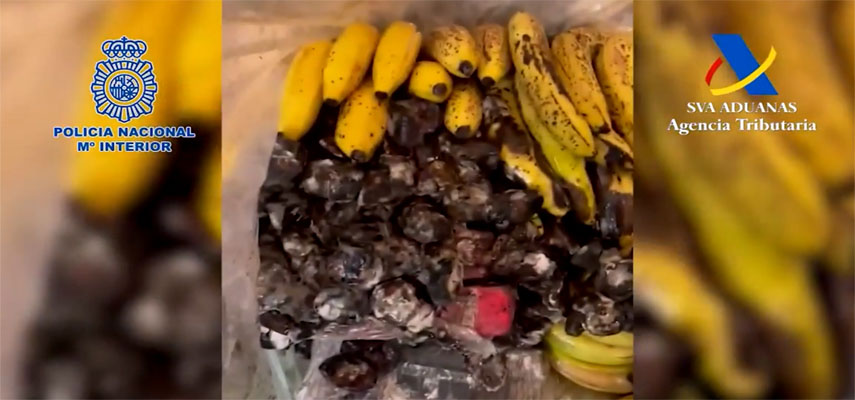 В порту Малаги изъято более 600 кг кокаина, спрятанного среди партии бананов из Южной Америки